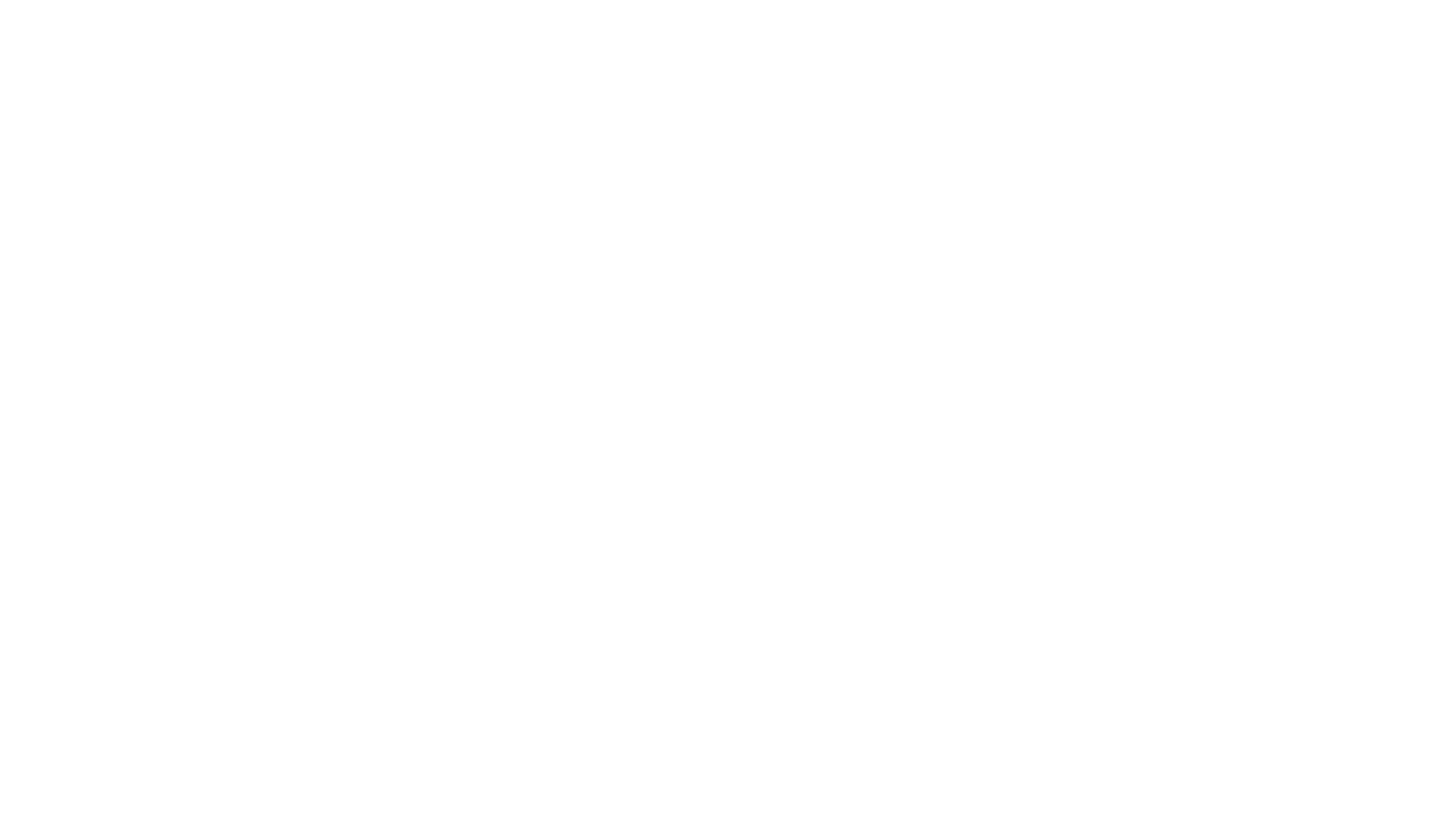 Transportes Puelche